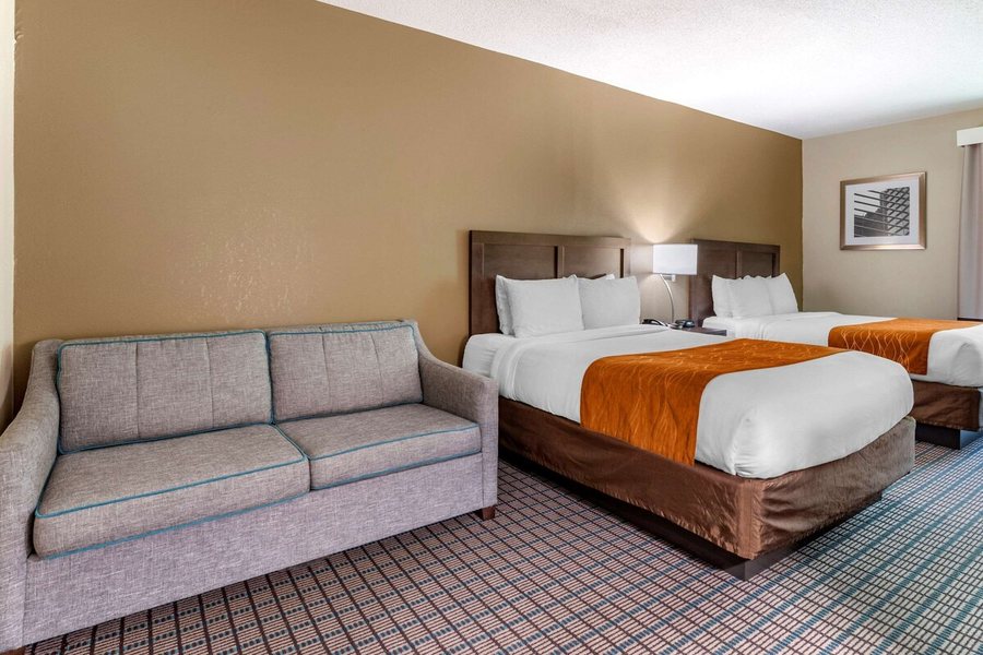 Comfort Inn Suites Cincinnati Uptown Clifton — Guest room