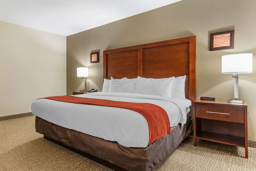 Comfort Inn Suites Clemson University Area — Guest room