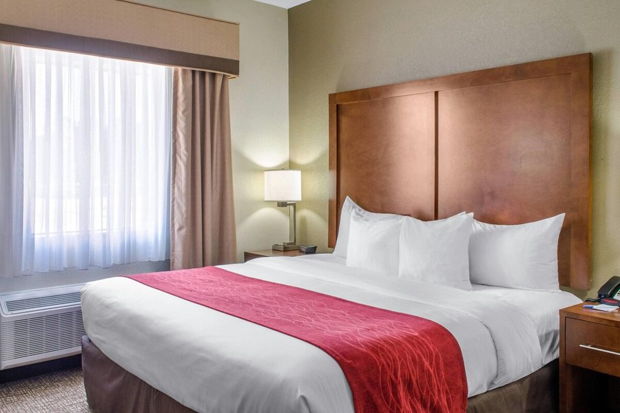 Comfort Inn Suites Covington Mandeville — Guest room