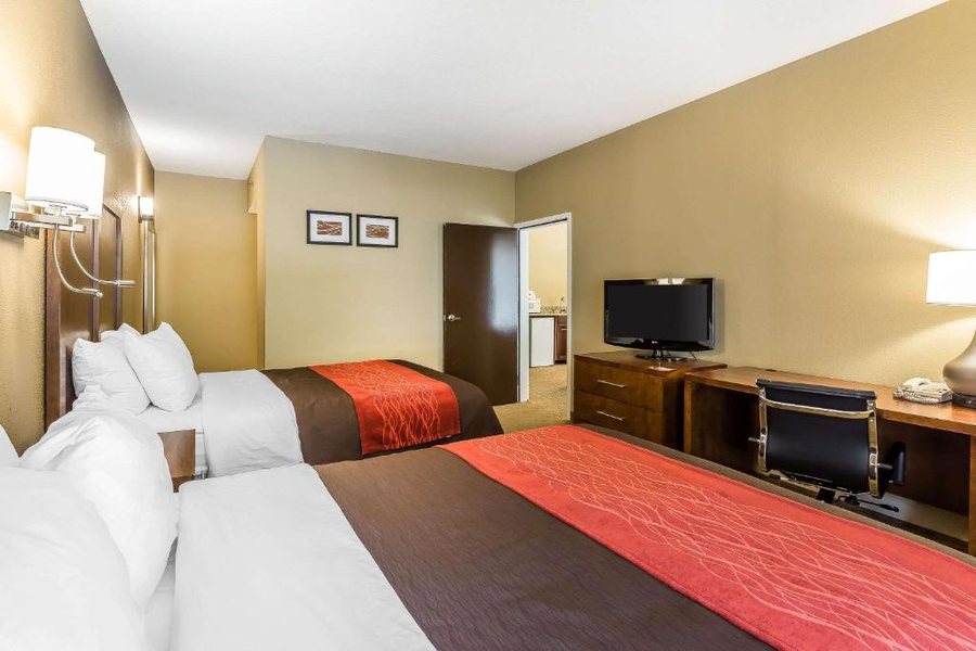 Comfort Inn Suites Dalton — Guest room