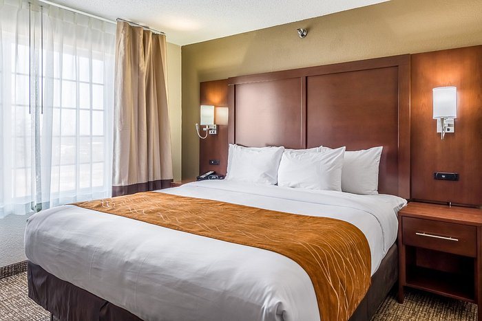 Comfort Inn Suites Dayton North — Guest room