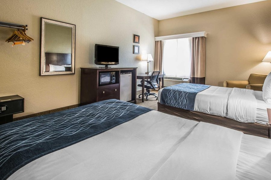 Comfort Inn Suites Deland Near University — Guest room