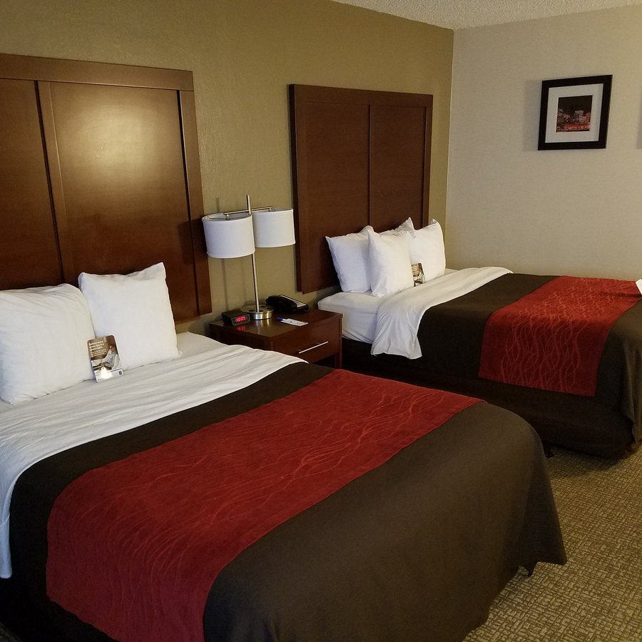 Comfort Inn Suites Denver Northfield — Guest room