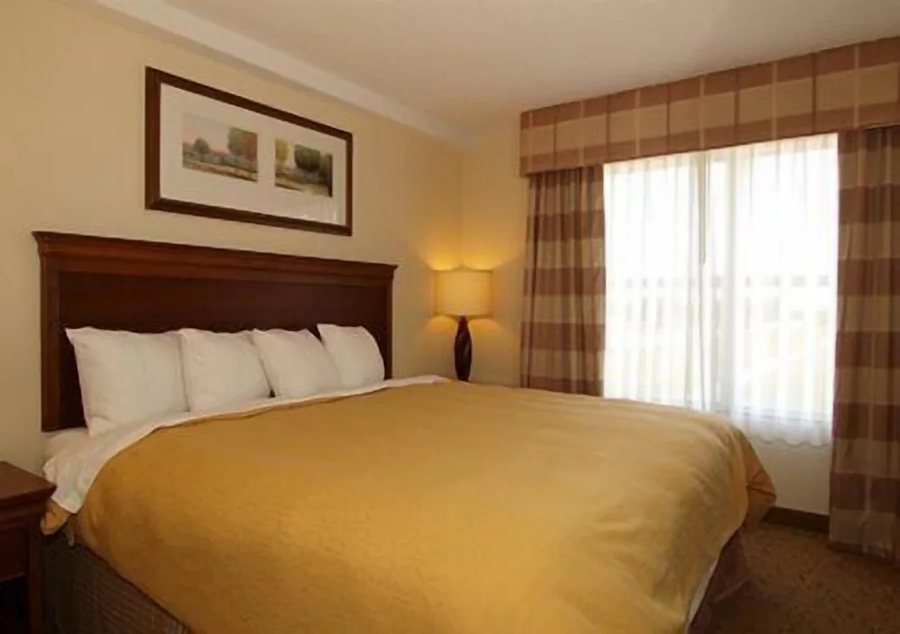 Comfort Inn Suites Dover — Guest room