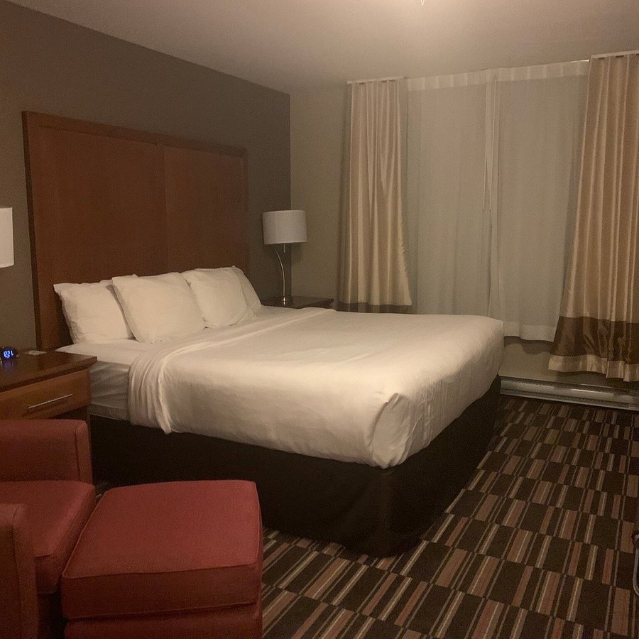 Comfort Inn Suites Edmonton International Airport — Guest room