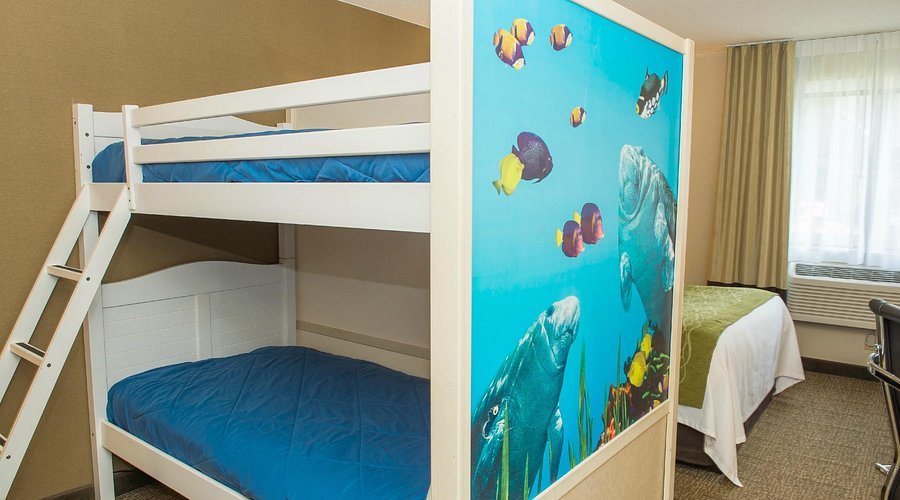Comfort Inn Suites Erie Splash Lagoon Indoor Waterpark — Guest room