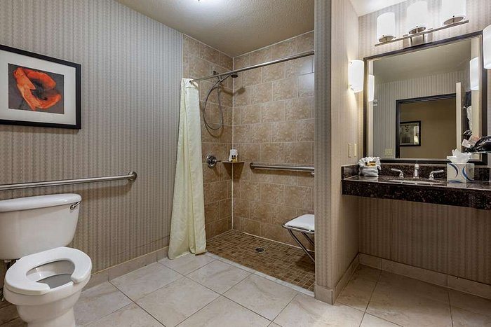 Comfort Inn Suites Euless DFW West — Bathroom
