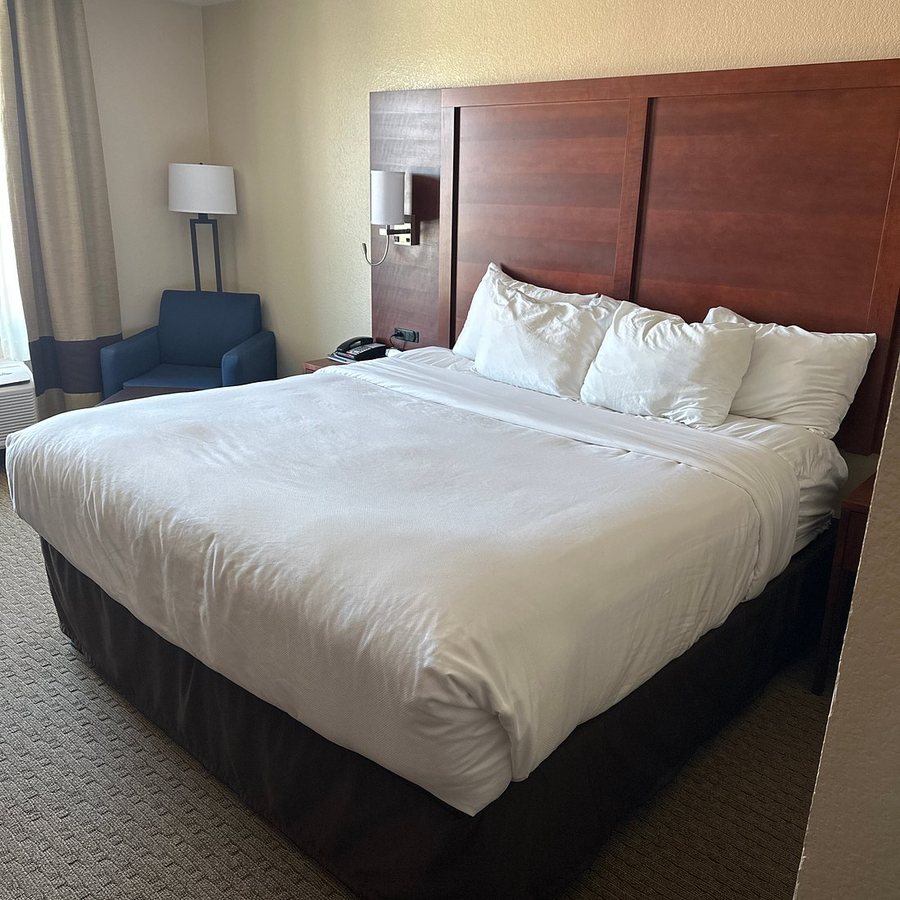 Comfort Inn Suites Euless DFW West — Guest room