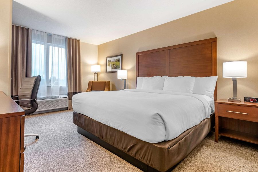 Comfort Inn Suites Fayetteville University Area — Guest room