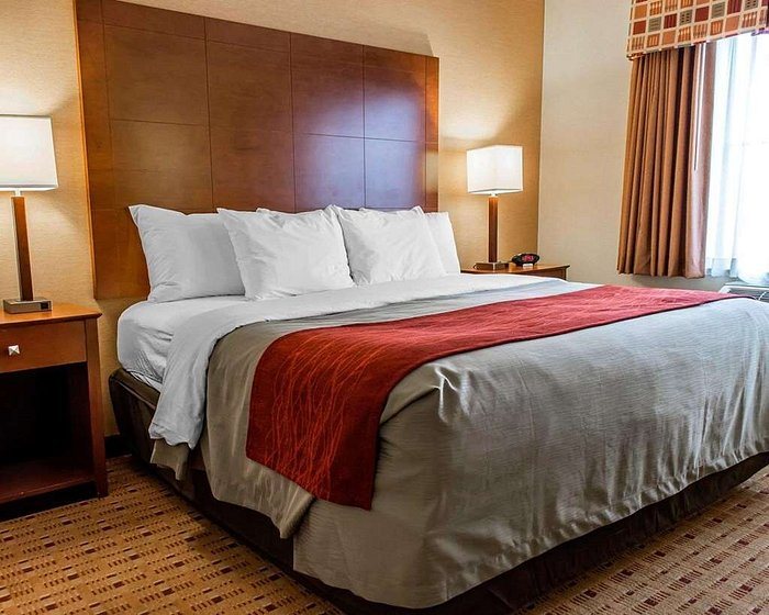 Comfort Inn Suites Franklin — Guest room