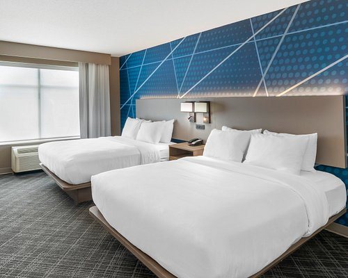 Comfort Inn Suites Hampton Near Coliseum — Guest room