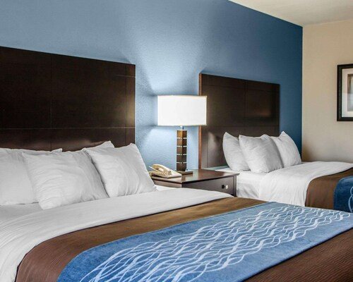 Comfort Inn Suites — Guest room