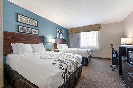 Comfort Inn Suites Hays I 70 — Guest room