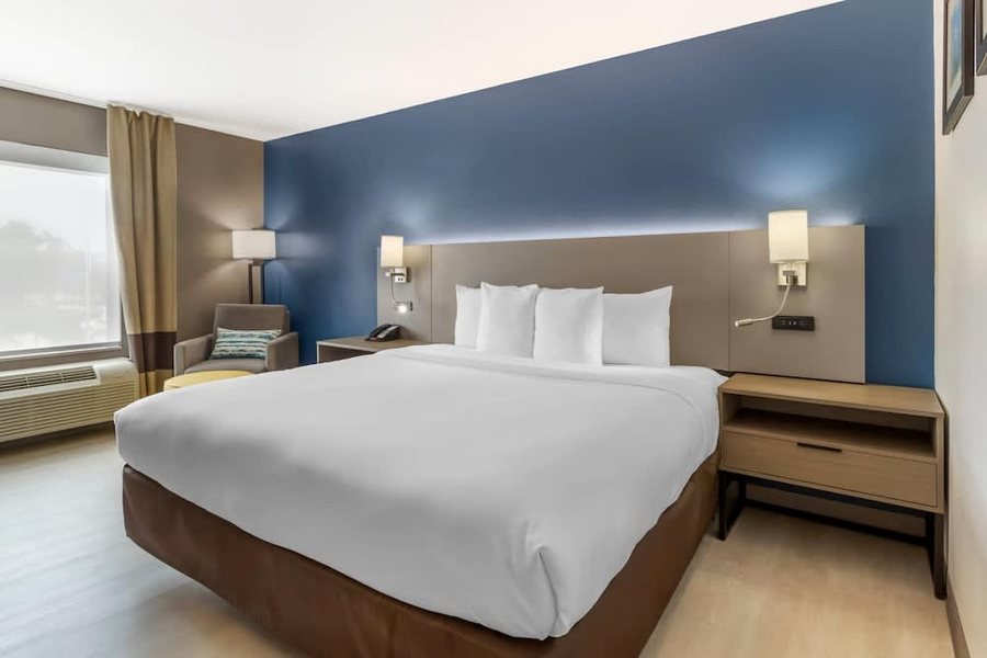 Comfort Inn Suites Houston I 45 North IAH — Guest room