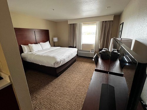 Comfort Inn Suites I 90 City Center — Guest room