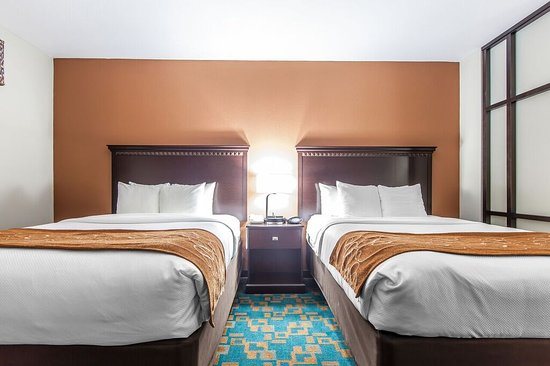 Comfort Inn Suites Knoxville West — Guest room