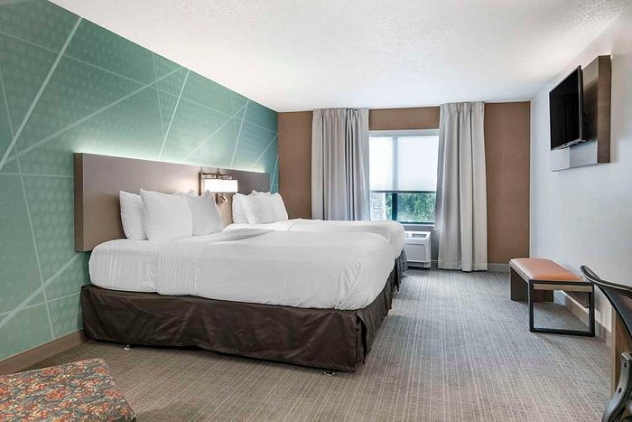 Comfort Inn Suites — Guest room