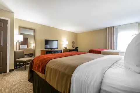 Comfort Inn Suites — Guest room