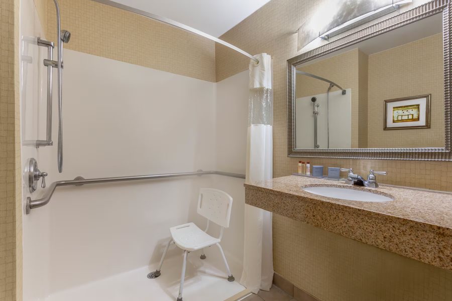 Comfort Inn Suites Macon North I 75 — Bathroom