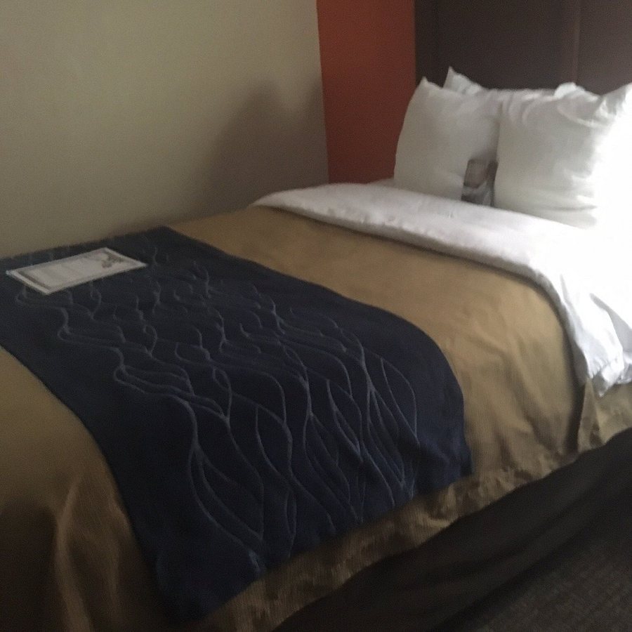 Comfort Inn Suites Marianna I 10 — Guest room