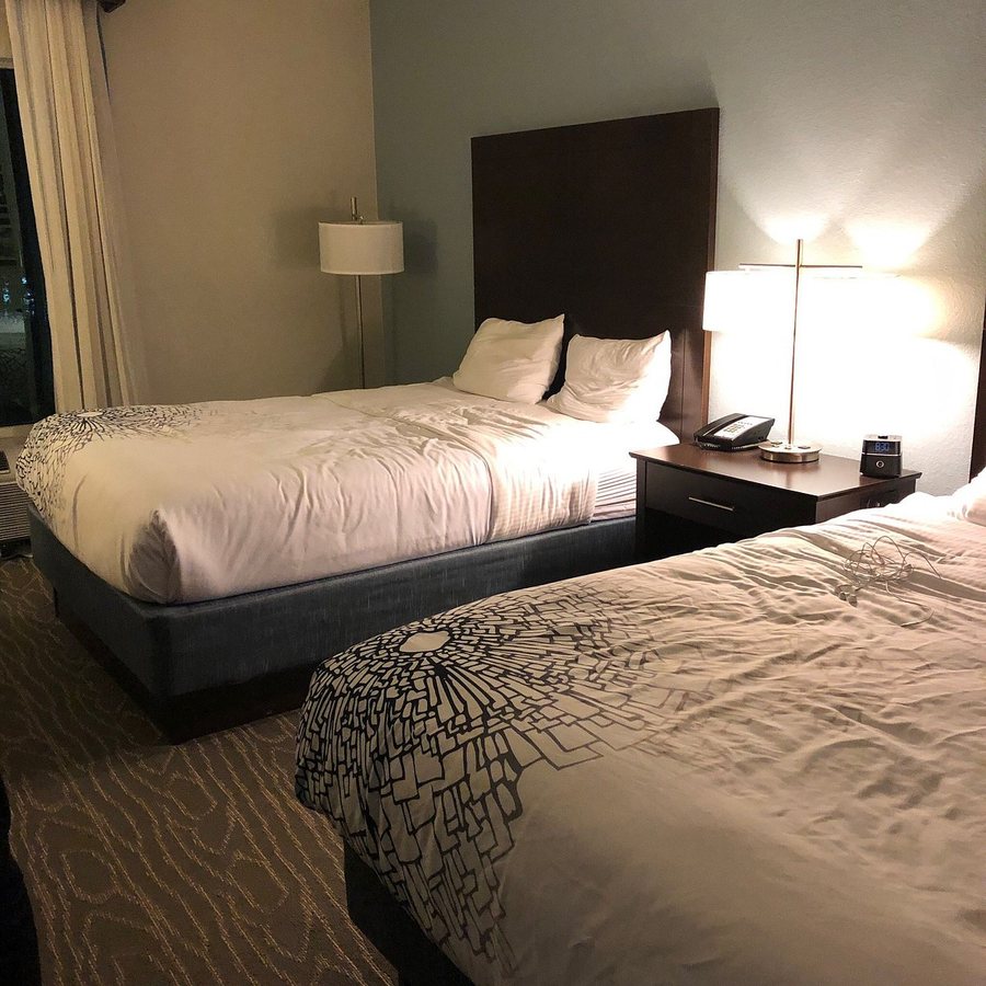 Comfort Inn Suites Melbourne Viera — Guest room