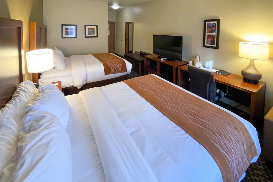 Comfort Inn Suites Midtown — Guest room