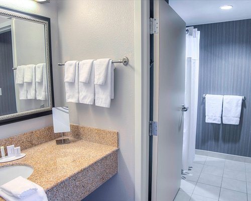 Comfort Inn Suites Mobile Near Eastern Shore Centre — Bathroom