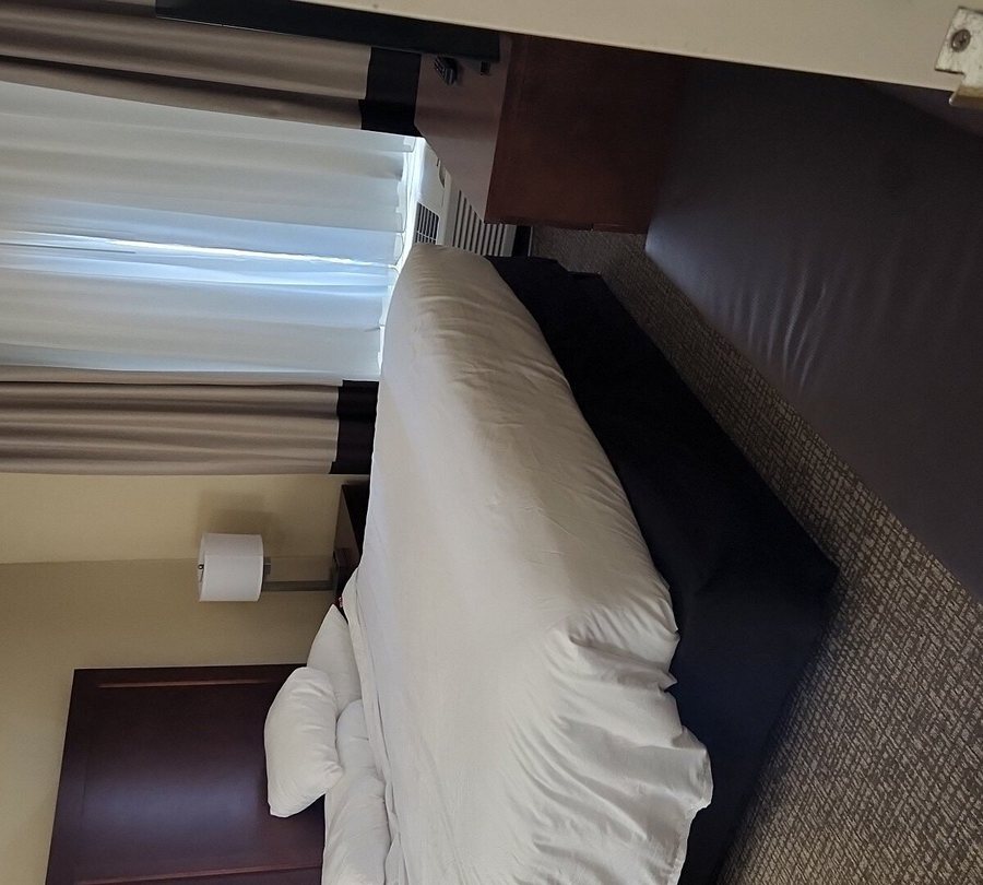 Comfort Inn Suites Mobile Near Eastern Shore Centre — Guest room