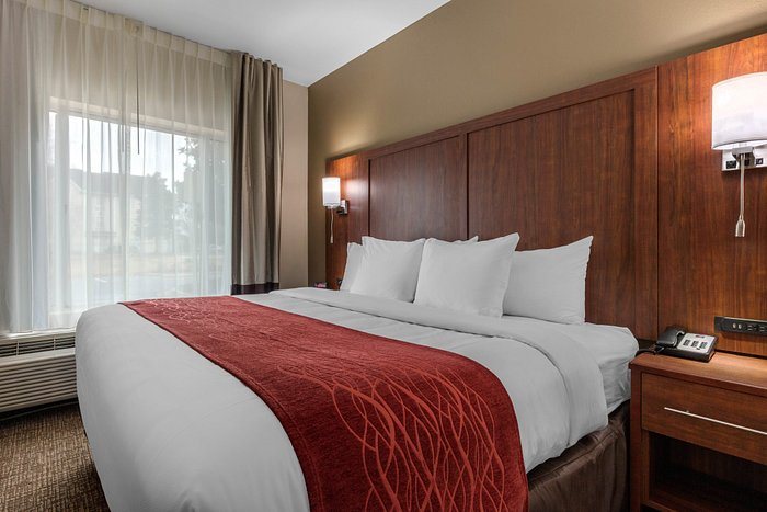 Comfort Inn Suites Montgomery East Carmichael Rd — Guest room
