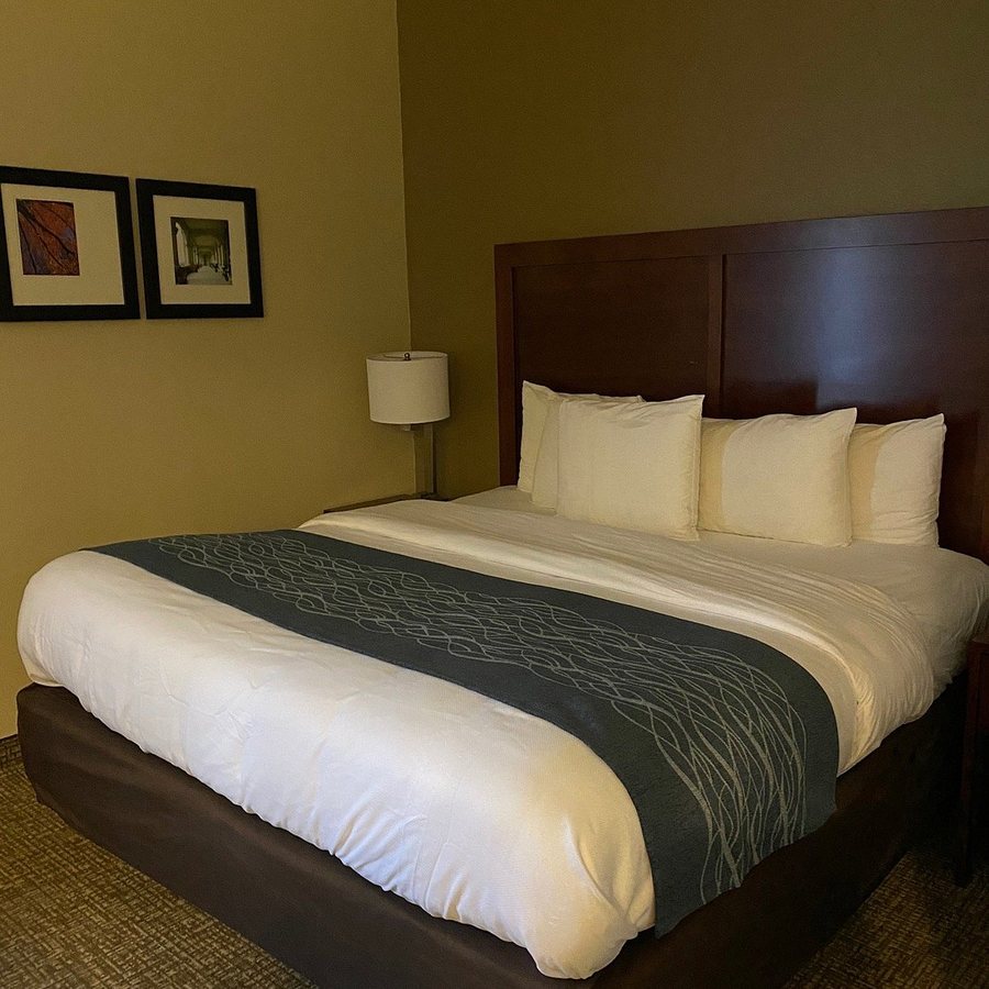 Comfort Inn Suites — Guest room