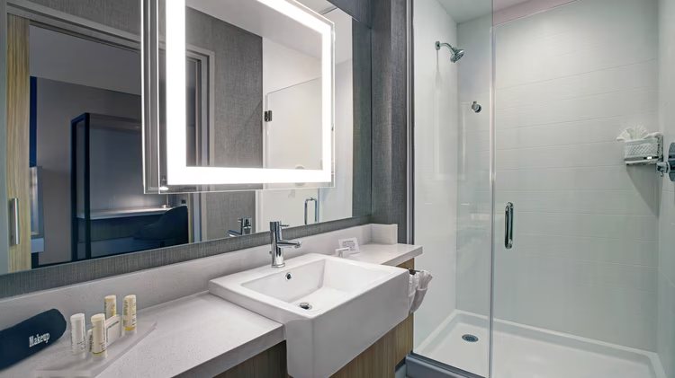 Comfort Inn Suites Nashville Franklin Cool Springs — Bathroom
