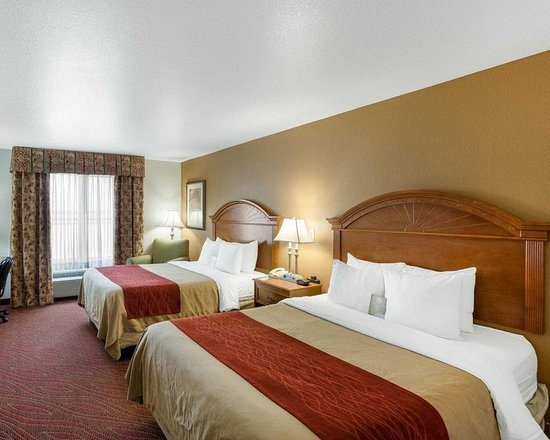 Comfort Inn Suites near Medical Center — Guest room