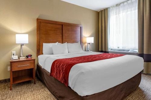 Comfort Inn Suites Near Mt Rushmore — Guest room