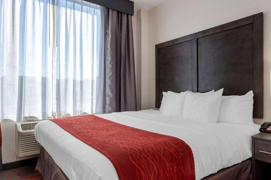 Comfort Inn Suites near Stadium — Guest room