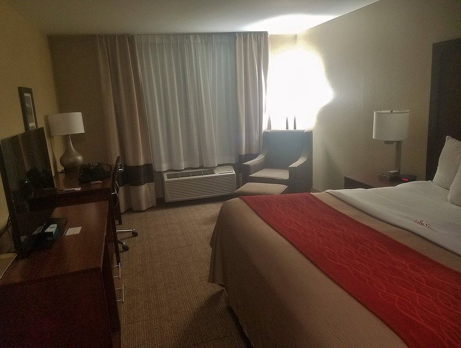 Comfort Inn Suites Near University Of Wyoming — Guest room