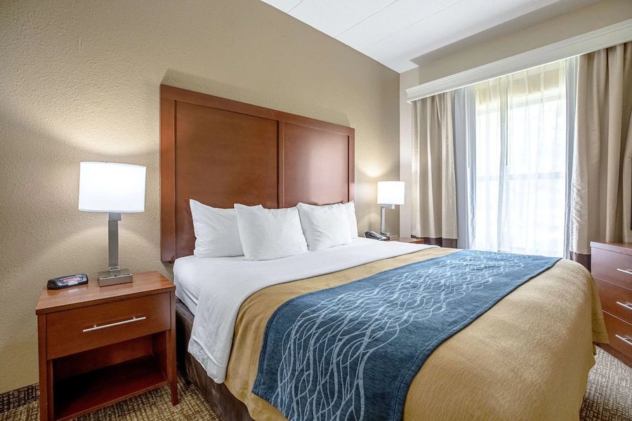 Comfort Inn Suites North At The Pyramids — Guest room