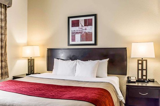 Comfort Inn Suites Northeast Gateway — Guest room