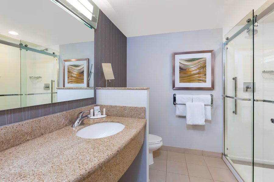 Comfort Inn Suites Oklahoma City Downtown South I 35 — Bathroom