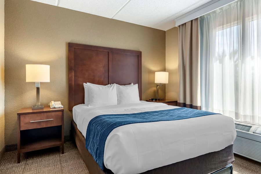 Comfort Inn Suites Orlando North Sanford Florida — Guest room