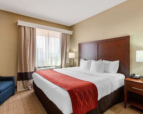 Comfort Inn Suites Page At Lake Powell — Guest room