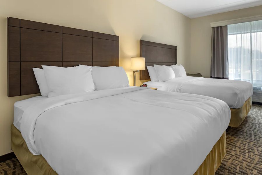 Comfort Inn Suites Pittsburgh — Guest room