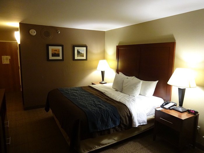 Comfort Inn Suites Plano East — Guest room