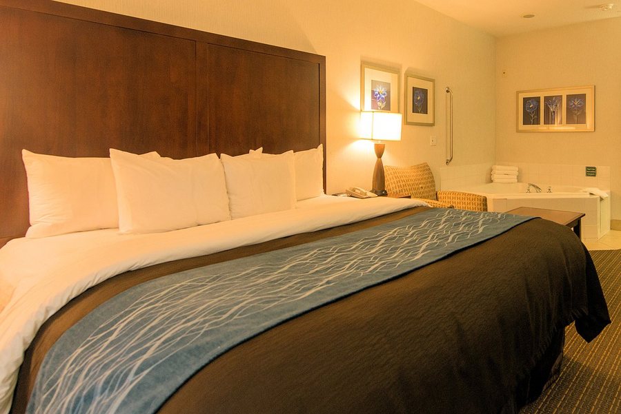 Comfort Inn Suites Portland International Airport — Guest room