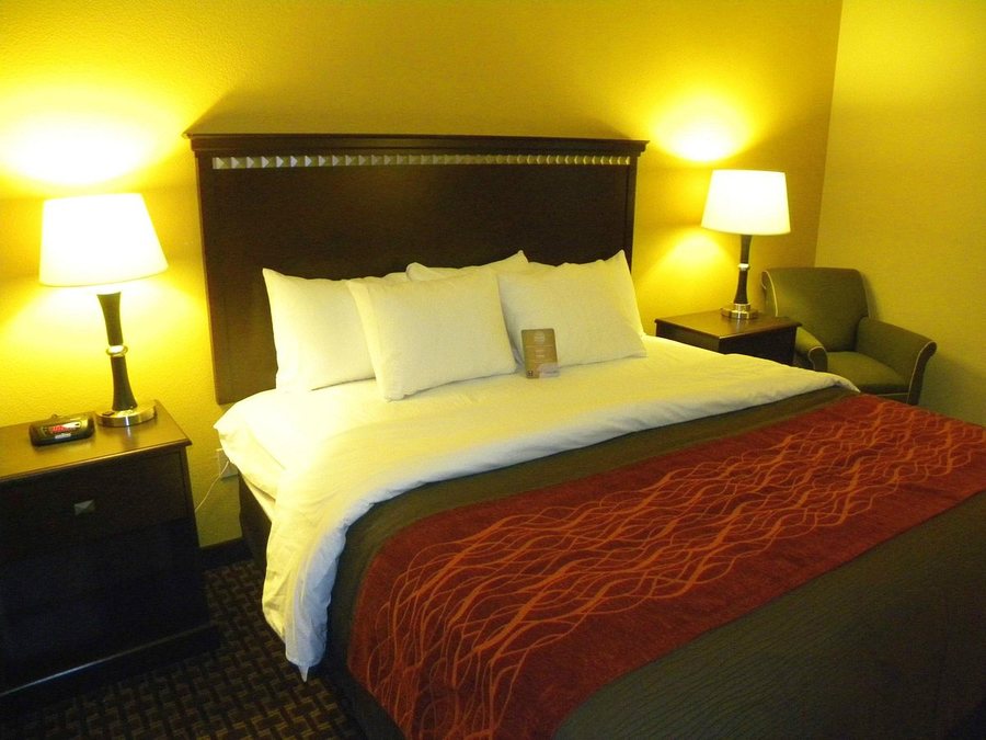 Comfort Inn Suites Regional Medical Center — Guest room