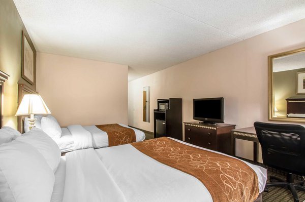Comfort Inn Suites Rochelle Illinois — Guest room