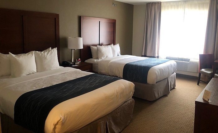 Comfort Inn Suites Rome South — Guest room