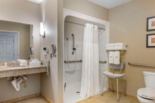 Comfort Inn Suites Sarasota I75 — Bathroom