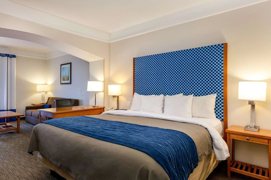 Comfort Inn Suites Savannah Airport — Guest room