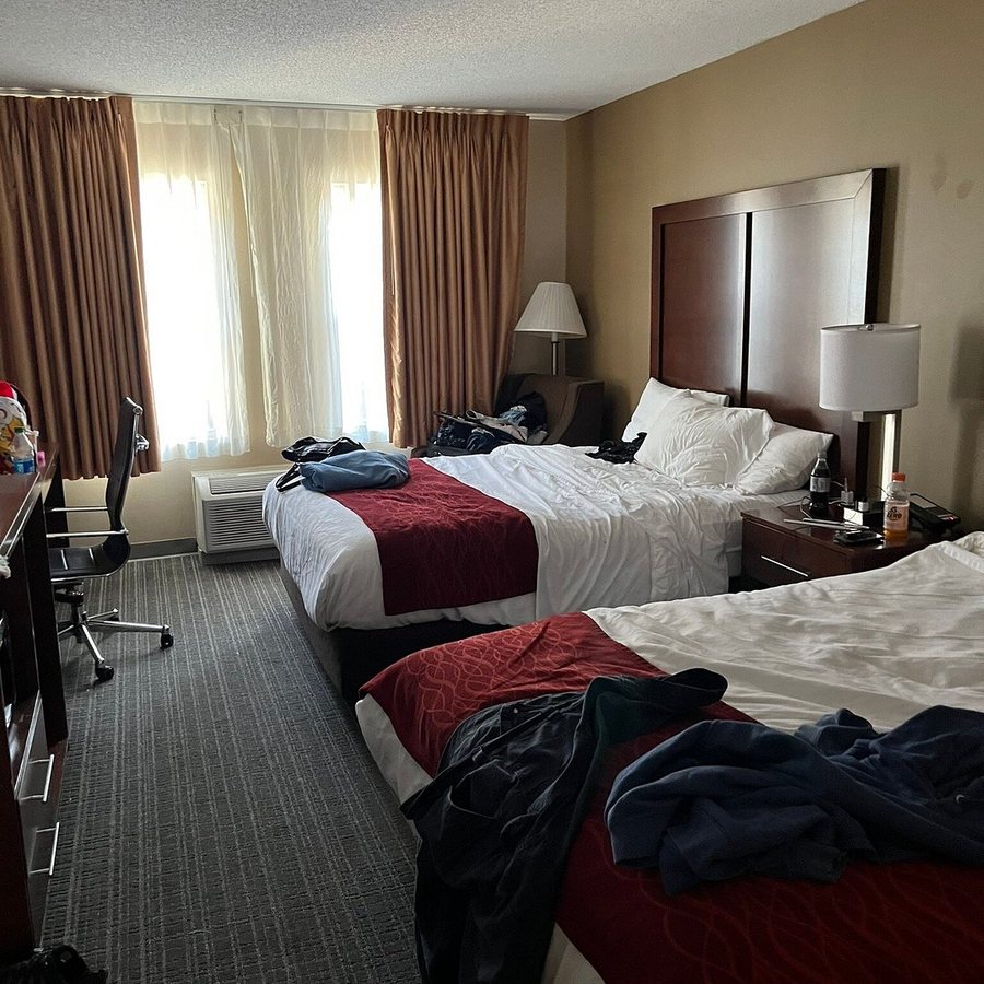 Comfort Inn Suites Scarborough Portland — Guest room