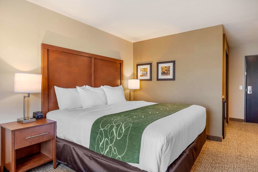 Comfort Inn Suites Schenectady Scotia — Guest room